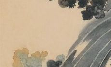 为什么属兔的35岁后两喜 惊喜好运降临属兔人