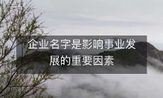 企业名字是影响事业发展的重要因素