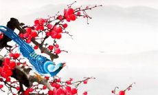 本命年真的会很倒霉吗 本命年如何化解