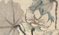 属兔人49岁有一场大灾难 属兔人一生财运怎么样