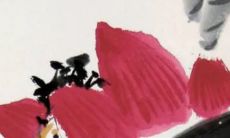 男人特别宠哪些生肖女 大大咧咧心生怜爱