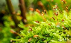 91年9月6日是什么命 农历七月二十八出命运