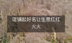 店铺起好名让生意红红火火