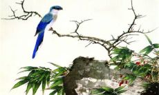 每日五行穿衣分享:2023年3月21日今日幸运色是什么