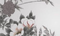 2023年3月17日五行穿衣分享 最佳幸运色查询