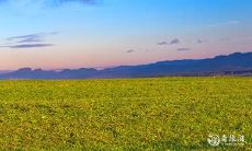 91年2月13日是什么命 农历十二月二十九出生命运