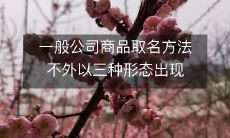 一般公司商品取名方法不外以三种形态出现