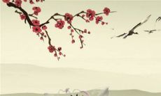 2023年3月7日五行穿衣分享 最佳幸运色查询