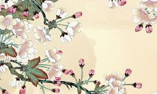 2023年适合生孩子的生肖 几月出生的属相兔宝宝最好