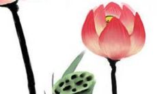 穿衣色彩攻略: 2023年3月15日五行穿衣属性查询