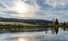 91年2月15日是什么命 农历正月初一出生命运