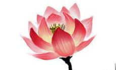 2023年3月10日穿什么颜色衣服好 五行穿衣最佳色