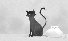 哪些星座容易爱不久?