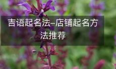 吉语起名法-店铺起名方法推荐