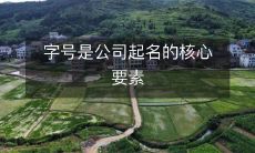 字号是公司起名的核心要素