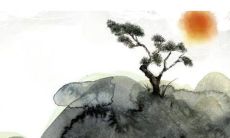 八字解析：2023年3月9日出生的宝宝是什么命，五行缺什么