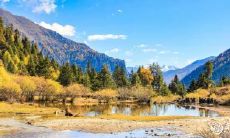 91年2月17日是什么命 农历正月初三出生命运