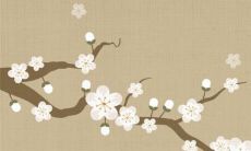 生辰八字解析：2023年3月8日妇女节出生的宝宝是什么命，五行缺什么