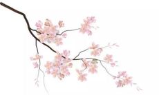 惊蛰出生的女孩命运 惊蛰出生的女孩名字