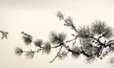 惊蛰出生的男孩命理 惊蛰出生的男孩名字