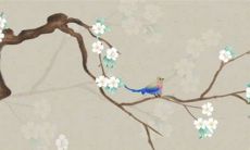 生辰八字解析：2023年3月6日惊蛰出生的宝宝是什么命，五行缺什么