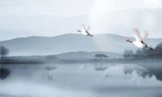 2023年闰二月哪天出生好 2023年闰二月哪天出生好