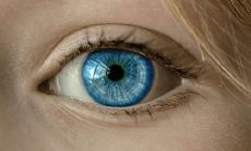 眼睛眼珠黄的女人命理 什么样的眼睛好命