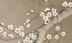 2022年12月13日动土好不好 是建房动土吉利日子吗