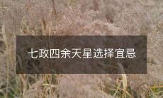 七政四余天星选择宜忌