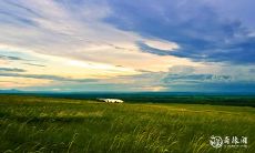 91年2月9日是什么命 农历十二月二十五出生命运