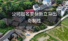 公司起名要标新立异出奇制胜
