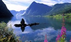 2022年5月这些星座的桃花中会有正桃花