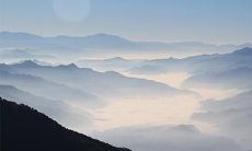 91年2月11日是什么命 农历十二月二十七出生命运