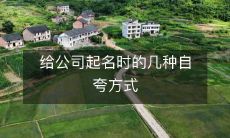 给公司起名时的几种自夸方式