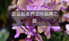 企业起名的国际品牌之路