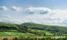 91年2月12日是什么命 农历十二月二十八出生命运