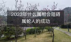 2023年什么属相会阻碍属蛇人的成功
