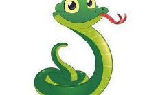 77年属蛇人2021感情事业运气怎么样