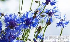 哪些星座2022年工作上会有晋升的机会