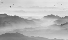 2023年4月5日五行属性查询 每日五行穿衣搭配