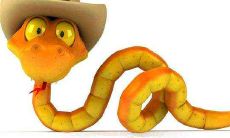 2020年属蛇的忌讳色是什么颜色?