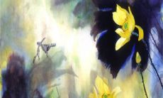 今日五行穿衣:2023年3月28日穿什么颜色旺运势