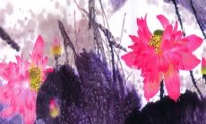 五行穿衣旺运:2023年3月23日穿衣幸运色搭配分享