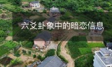 六爻卦象中的暗恋信息