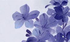 五行穿衣旺运:2023年4月2日穿衣幸运色搭配分享