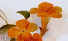 今日五行穿衣:2023年4月7日穿什么颜色旺运势