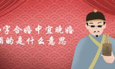 八字合婚中宜晚婚指的是什么意思