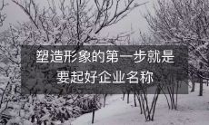 塑造形象的第一步就是要起好企业名称