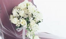 2023年1月20日大寒订婚好吗 今日提亲好不好