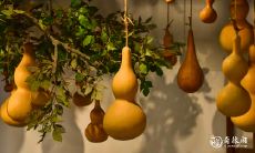 1411房号吉利吗 房子风水变旺的方法